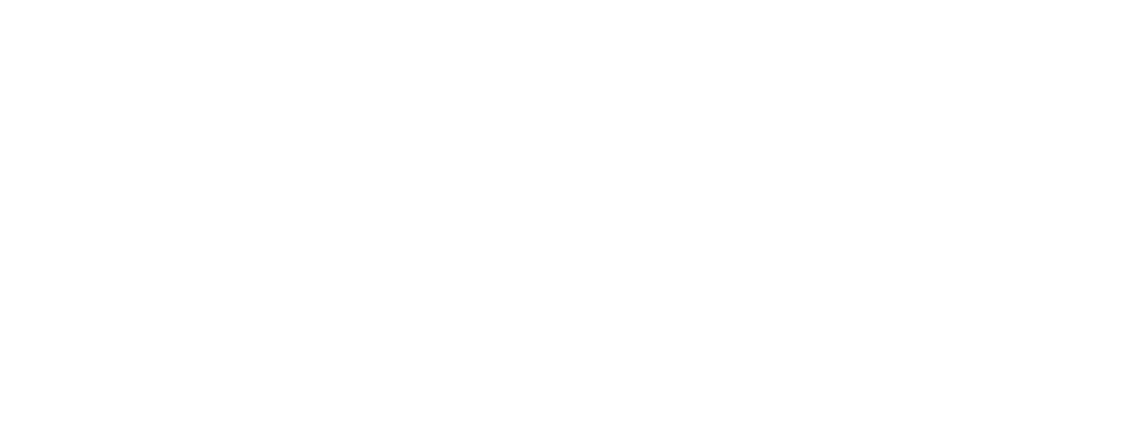 Naxa360